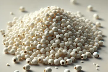 Fehér mák – A különleges ízvilágú, világos színű mag