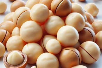 Hántolt makadámdió – A krémes ízű luxusmag, tele egészséges zsírokkal