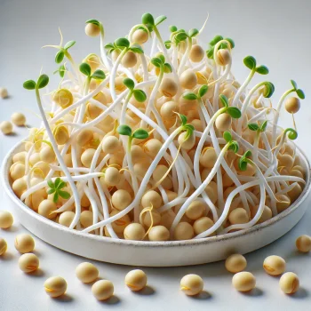 Szójababcsíra – A fehérjedús, roppanós csíra az egészséges konyhákban