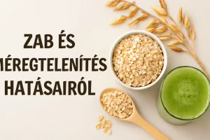A zab béta-glükán gélképző hatásával megköti a PFAS vegyületeket, elősegítve azok kiürülését